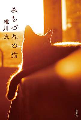 「みちづれの猫」集英社