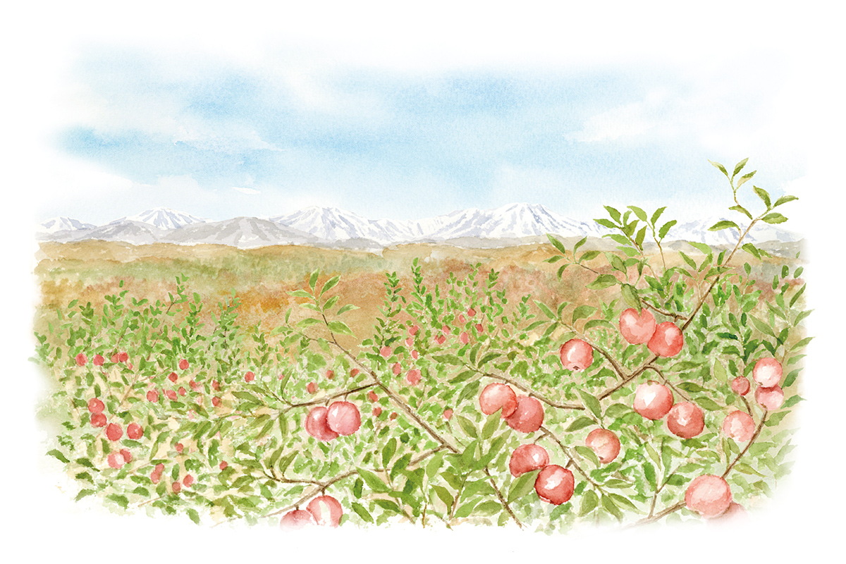 第83回 きむ ふなさん リンゴを食べながら