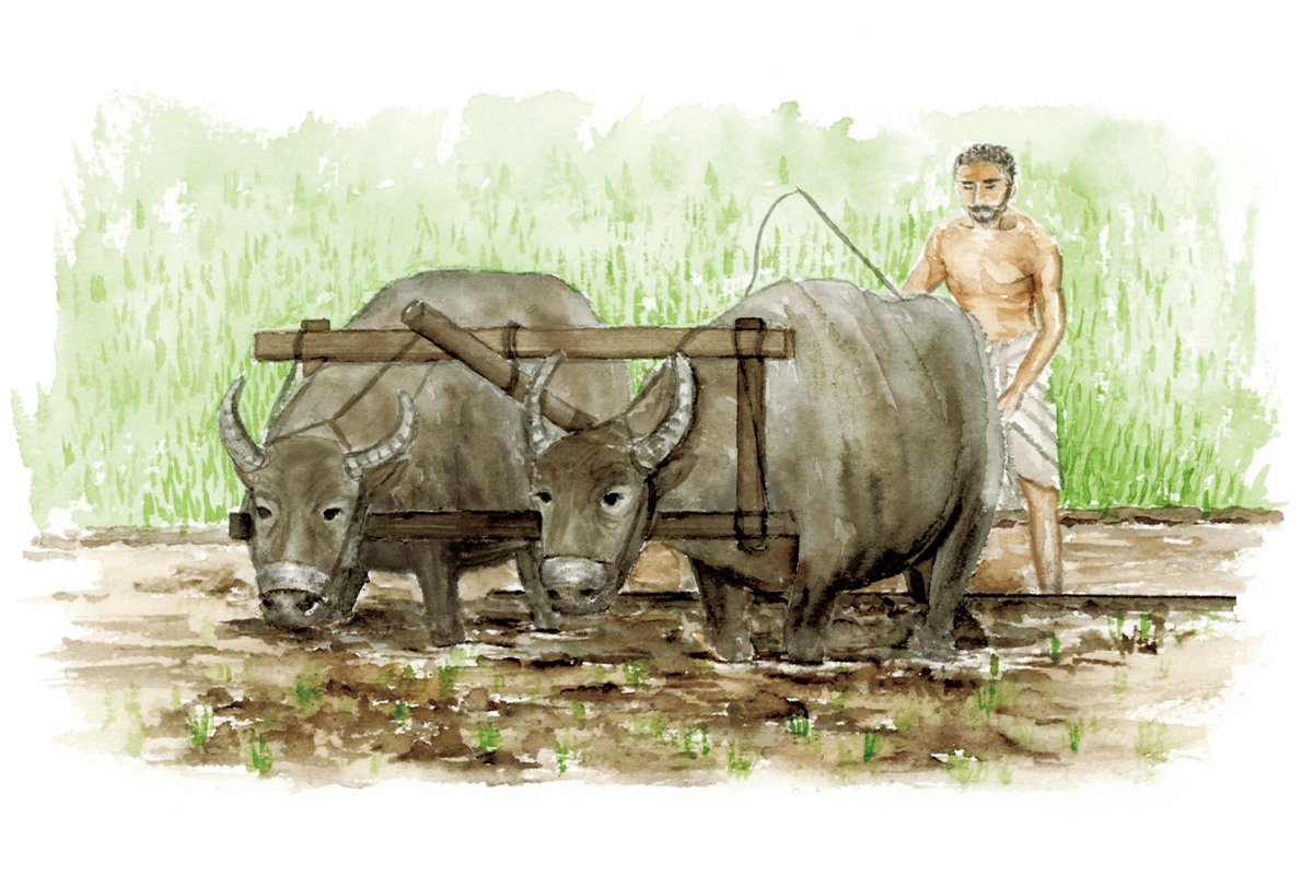 第88回 宮﨑信也さん カレーライスと日本仏教