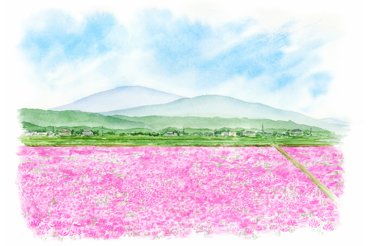 第89回 岡田晴恵さん 食で気づく春