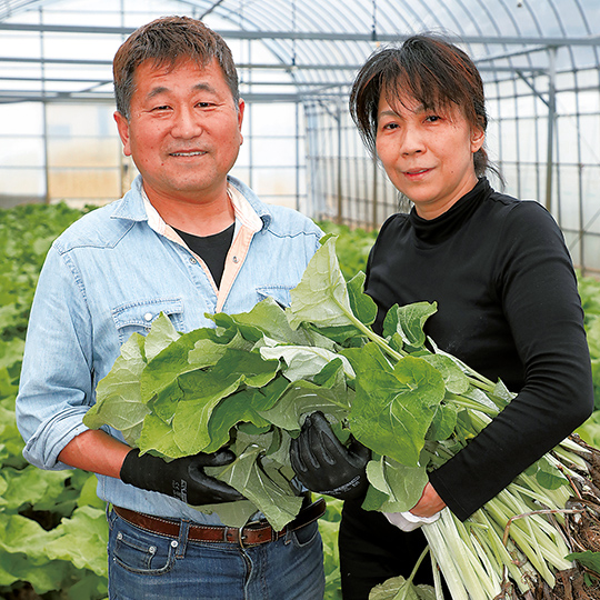 香り豊かな季節野菜 八尾若ごぼう ふるさと探訪 Apron