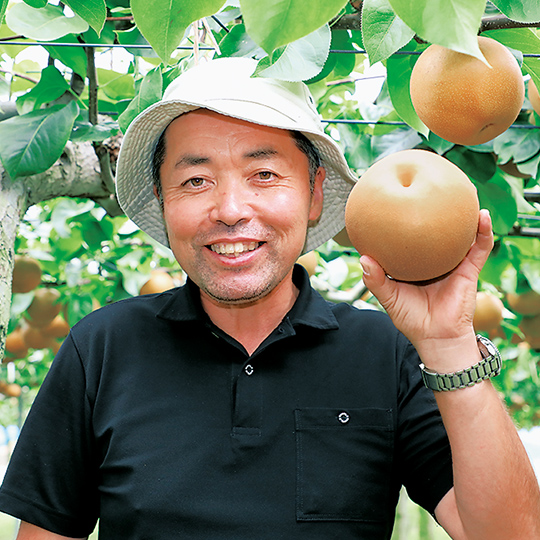 栃木生まれの大玉品種、にっこり梨 - ふるさと探訪 | Apron