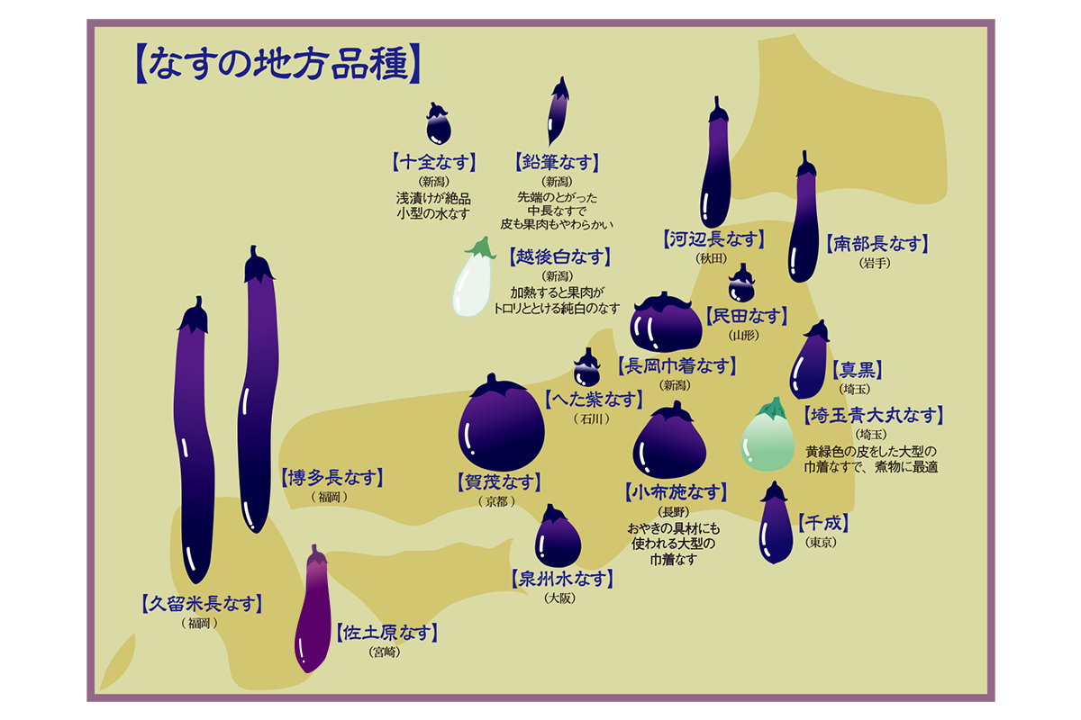 なすの地方品種