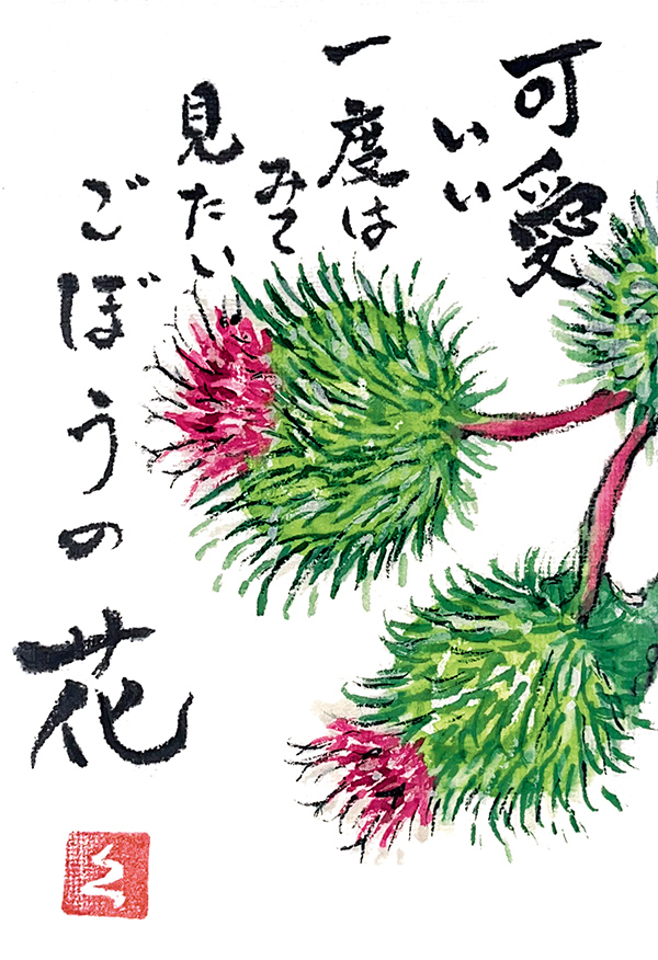 佐賀県・根岸久子さん