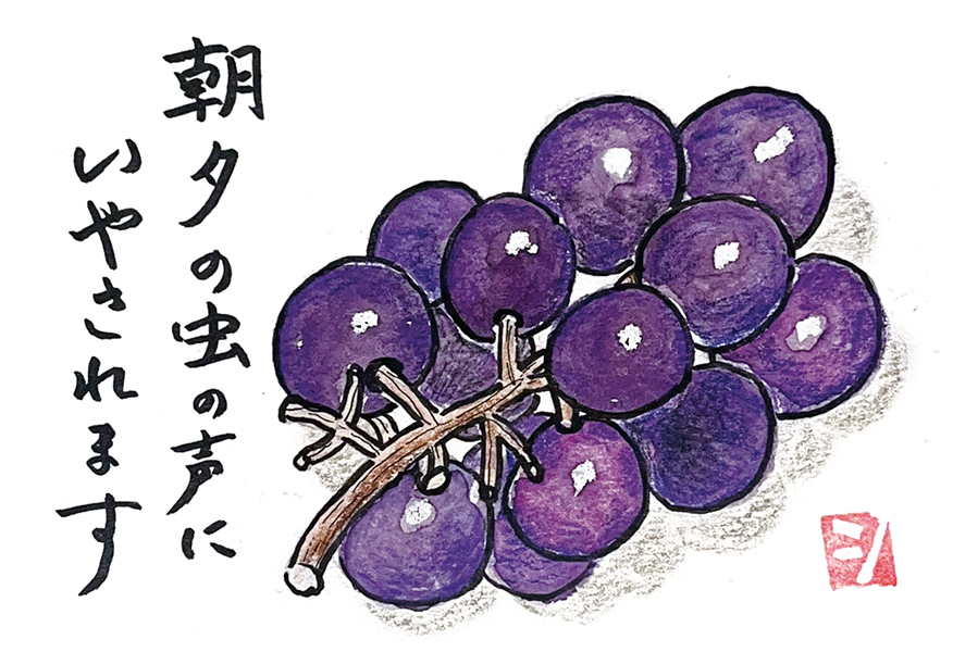 鳥取県・嶋田幸枝さん