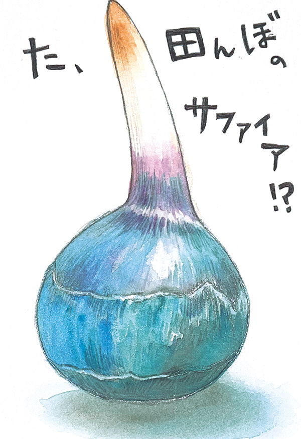 東京都・望月紀江さん