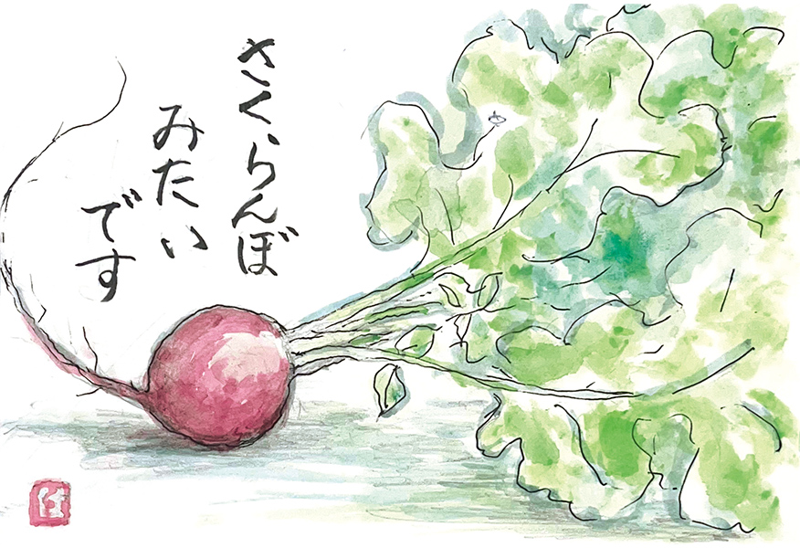 福岡県・濱  裕子さん