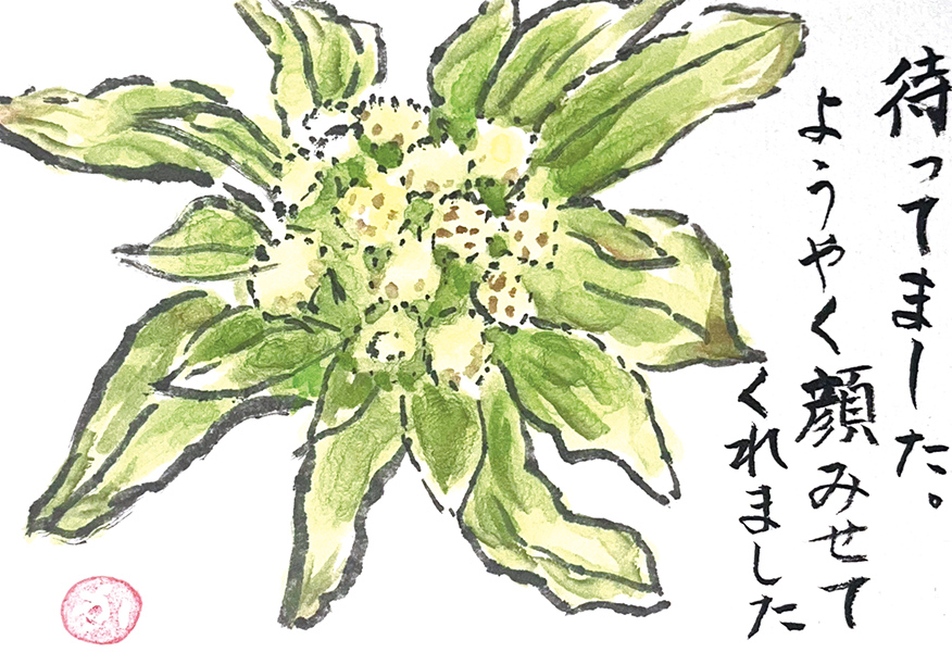 埼玉県・山崎加代さん