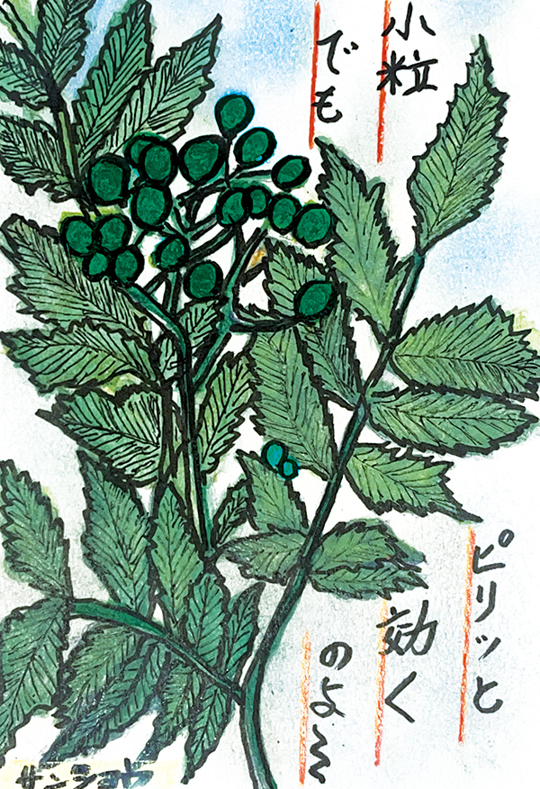 福島県・石井薫子さん