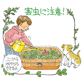害虫に注意!