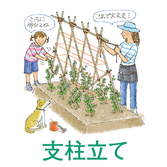 支柱立て