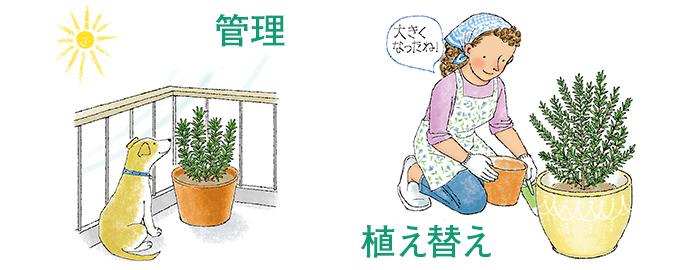 管理