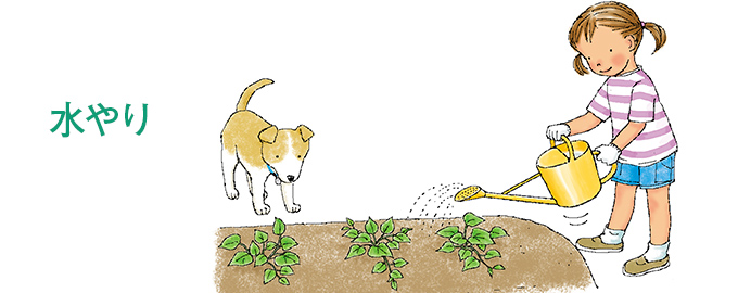 水やり