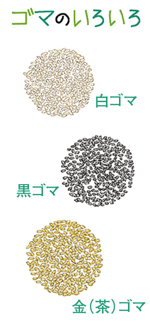 ゴマのいろいろ