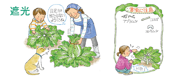 遮光・害虫に注意