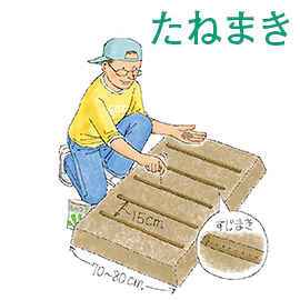 たねまき