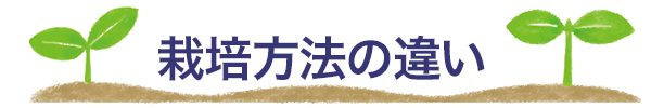 栽培方法