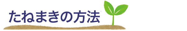 たねまきの方法
