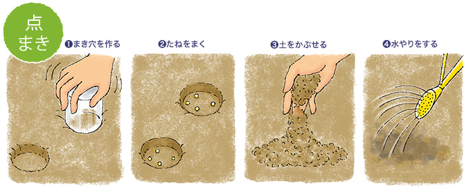 点まき