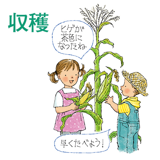 収穫