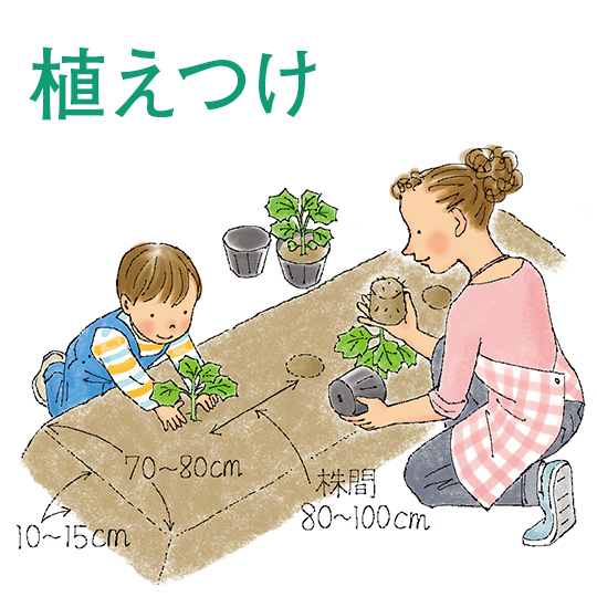 植えつけ