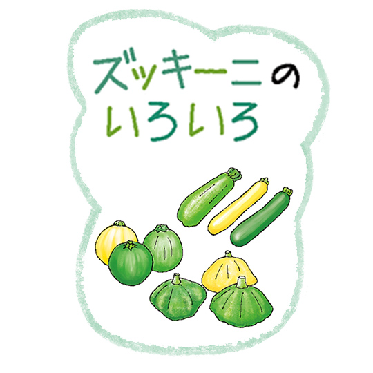 ズッキーニのいろいろ