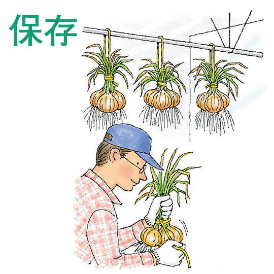 保存