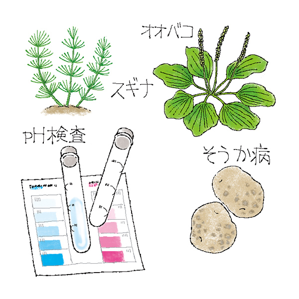 土壌のpHをはかりたいのですが、どうしたらいいですか?