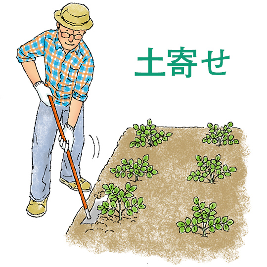 土寄せ