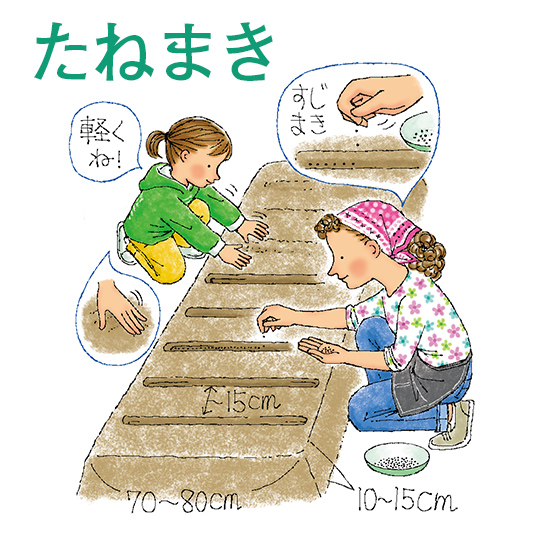 たねまき