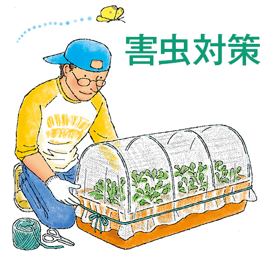 害虫対策