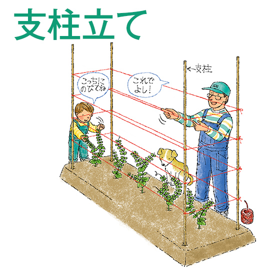 支柱立て