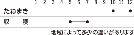 グリーンピース 初心者も図解で簡単家庭菜園 プランターでも畑でも Apronわくわく菜園づくり