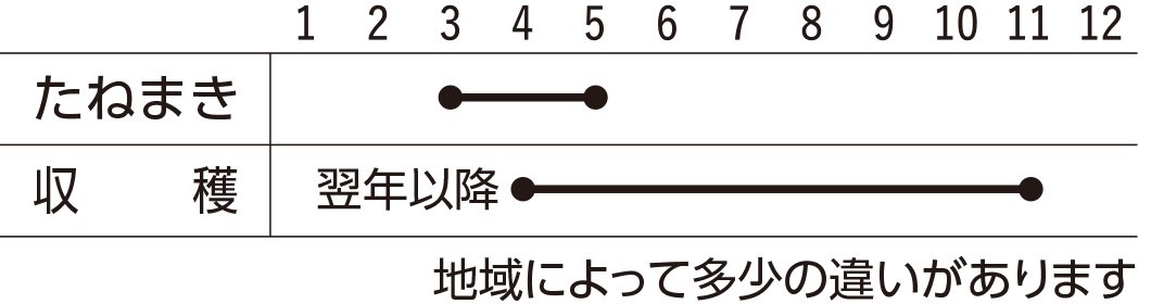 スケジュール