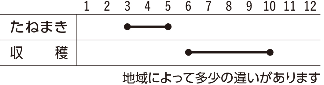 スケジュール