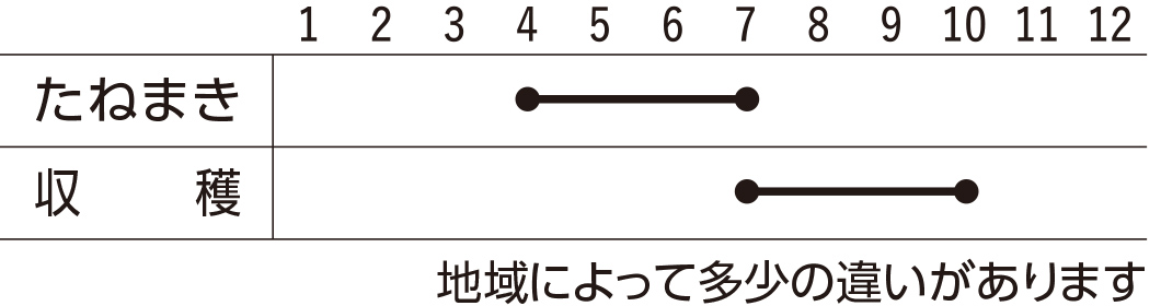 スケジュール