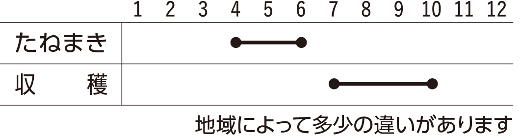スケジュール