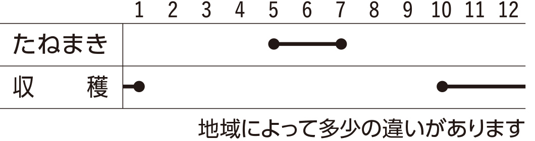 スケジュール