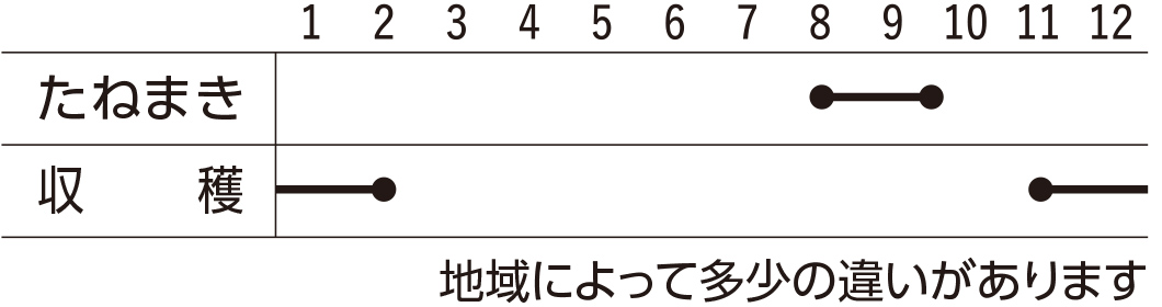 スケジュール