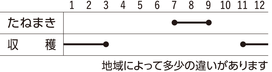 スケジュール