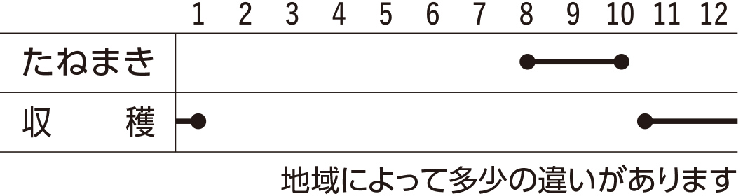 スケジュール
