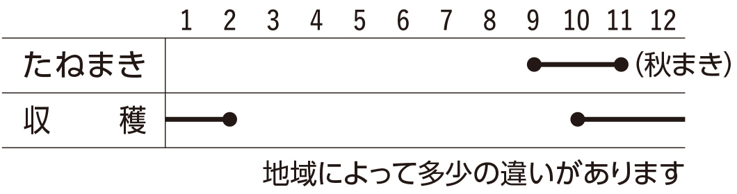 スケジュール