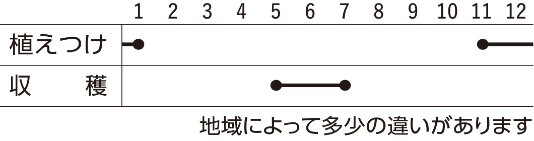 スケジュール