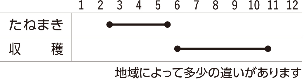 スケジュール