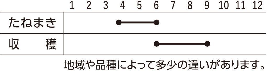スケジュール