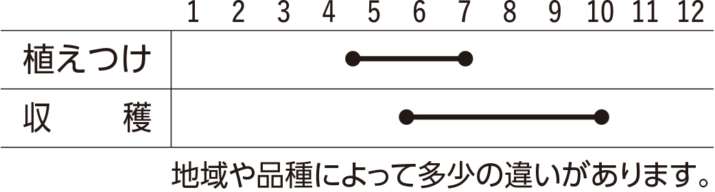 スケジュール