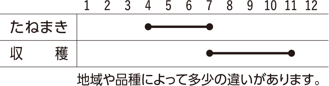 スケジュール