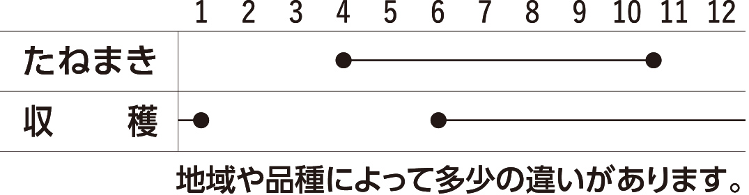 スケジュール