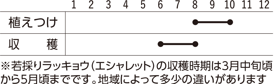 スケジュール