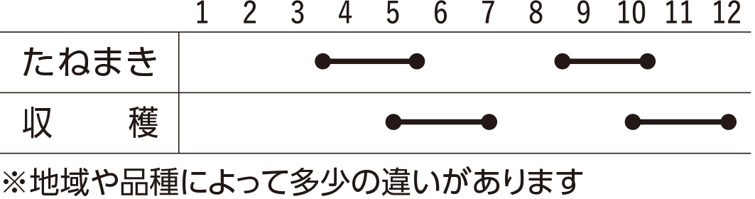 スケジュール